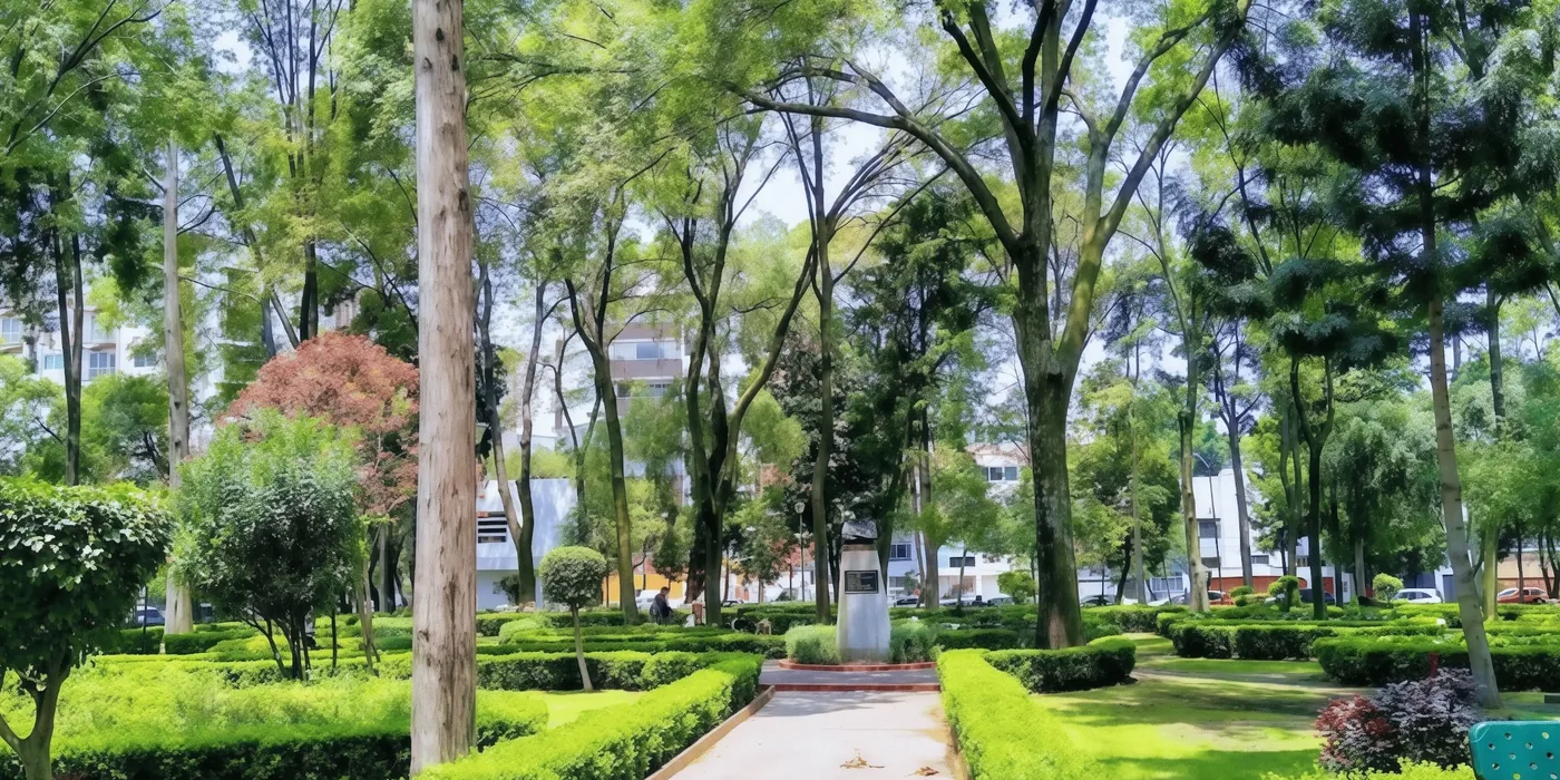 Colonia Del Valle CDMX — calles arboladas y vida de barrio