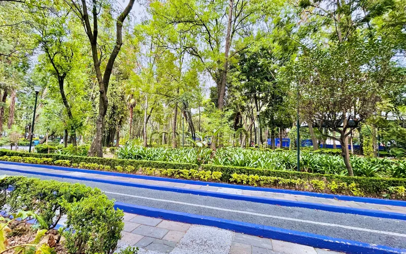 roma -sur- cdmx - agente-inmobiliario